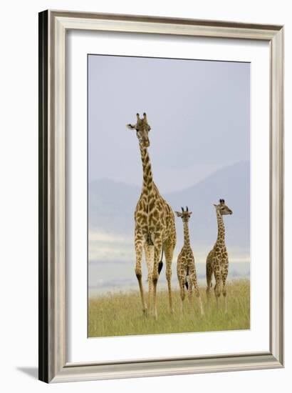 Savannah Strut-Susann Parker-Framed Photographic Print