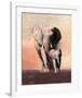 Savannah-Talantbek Chekirov-Framed Art Print