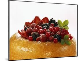 Savarin with Assorted Berries-null-Mounted Photographic Print