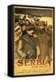 Save Serbia Our Ally, Send Contributions to Serbian Relief Committee of America, Pub. France, 1916-Théophile Alexandre Steinlen-Framed Stretched Canvas