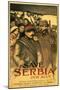 Save Serbia Our Ally, Send Contributions to Serbian Relief Committee of America, Pub. France, 1916-Théophile Alexandre Steinlen-Mounted Giclee Print