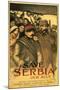 Save Serbia Our Ally, Send Contributions to Serbian Relief Committee of America, Pub. France, 1916-Théophile Alexandre Steinlen-Mounted Giclee Print