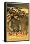 Save Serbia Our Ally, Send Contributions to Serbian Relief Committee of America, Pub. France, 1916-Théophile Alexandre Steinlen-Framed Stretched Canvas