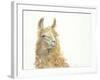 Save the Drama for your Llama-Patti Mann-Framed Art Print