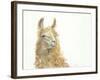 Save the Drama for your Llama-Patti Mann-Framed Art Print