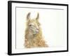 Save the Drama for your Llama-Patti Mann-Framed Art Print