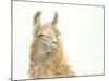 Save the Drama for your Llama-Patti Mann-Mounted Art Print