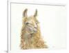 Save the Drama for your Llama-Patti Mann-Framed Art Print