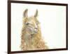 Save the Drama for your Llama-Patti Mann-Framed Art Print