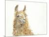 Save the Drama for your Llama-Patti Mann-Mounted Art Print