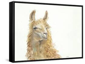 Save the Drama for your Llama-Patti Mann-Framed Stretched Canvas