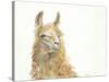 Save the Drama for your Llama-Patti Mann-Stretched Canvas