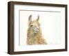 Save the Drama for your Llama-Patti Mann-Framed Art Print