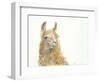 Save the Drama for your Llama-Patti Mann-Framed Art Print