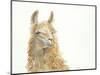 Save the Drama for your Llama-Patti Mann-Mounted Art Print