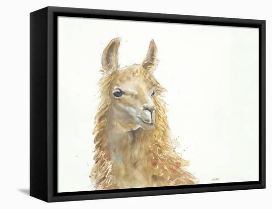 Save the Drama for your Llama-Patti Mann-Framed Stretched Canvas