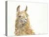 Save the Drama for your Llama-Patti Mann-Stretched Canvas