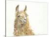 Save the Drama for your Llama-Patti Mann-Stretched Canvas