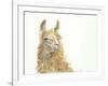 Save the Drama for your Llama-Patti Mann-Framed Art Print