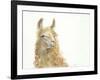 Save the Drama for your Llama-Patti Mann-Framed Art Print