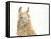 Save the Drama for your Llama-Patti Mann-Framed Stretched Canvas