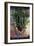 Save the Rainforest-Harro Maass-Framed Giclee Print