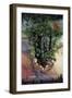 Save the Rainforest-Harro Maass-Framed Giclee Print