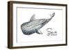 Save the Whales-Patricia Pinto-Framed Art Print