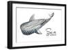 Save the Whales-Patricia Pinto-Framed Art Print