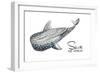 Save the Whales-Patricia Pinto-Framed Art Print