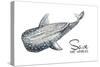 Save the Whales-Patricia Pinto-Stretched Canvas