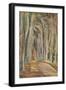 'Savernake Forest', 1935-Paul Nash-Framed Giclee Print