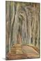 'Savernake Forest', 1935-Paul Nash-Mounted Giclee Print