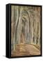 'Savernake Forest', 1935-Paul Nash-Framed Stretched Canvas
