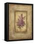 Savin Lilac-Kimberly Poloson-Framed Stretched Canvas