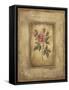 Savin Rose-Kimberly Poloson-Framed Stretched Canvas