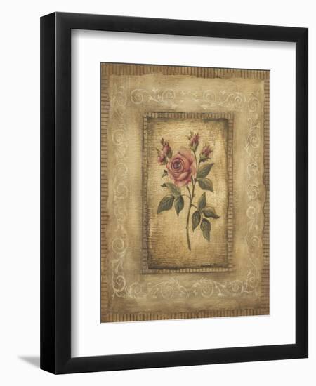 Savin Rose-Kimberly Poloson-Framed Art Print