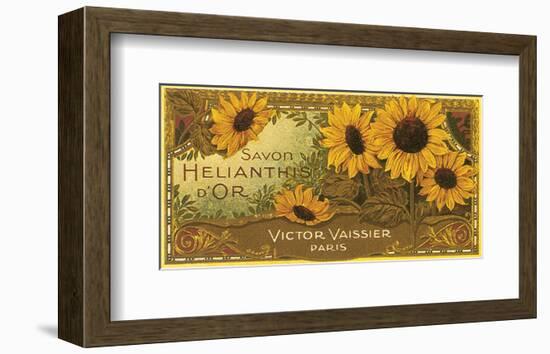 Savon Helianthis d'Or-null-Framed Art Print