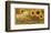 Savon Helianthis d'Or-null-Framed Art Print