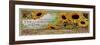 Savon Sunflowers-null-Framed Giclee Print