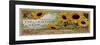 Savon Sunflowers-null-Framed Giclee Print