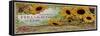 Savon Sunflowers-null-Framed Stretched Canvas