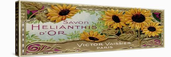 Savon Sunflowers-null-Stretched Canvas