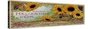 Savon Sunflowers-null-Stretched Canvas