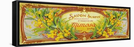 Savon Surfin Soap Label - Paris, France-Lantern Press-Framed Stretched Canvas