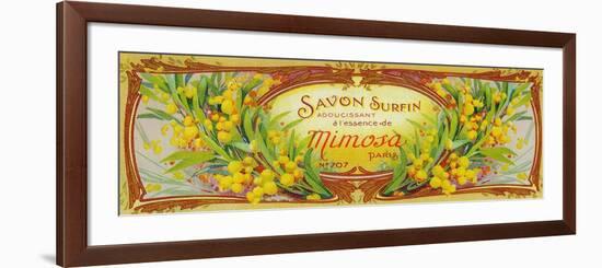 Savon Surfin Soap Label - Paris, France-Lantern Press-Framed Premium Giclee Print