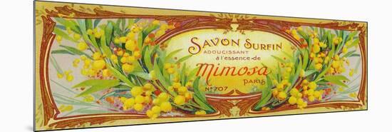 Savon Surfin Soap Label - Paris, France-Lantern Press-Mounted Premium Giclee Print