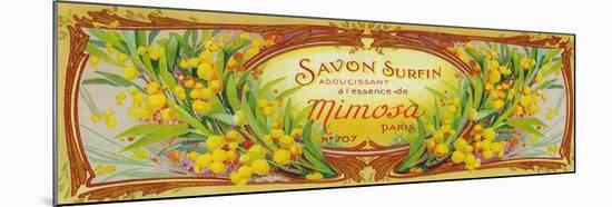 Savon Surfin Soap Label - Paris, France-Lantern Press-Mounted Art Print