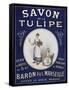 Savon Tulipe-Vintage Apple Collection-Framed Stretched Canvas