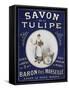 Savon Tulipe-Vintage Apple Collection-Framed Stretched Canvas
